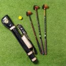 파크골프클럽 이미지