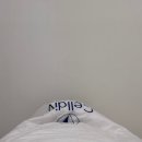 셀디브에스테틱