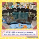 금촌유리