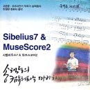 송택동의 시벨리우스7 이미지