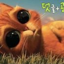 2월호텔 송도암남점 네이버블로그