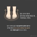 J.L필라테스