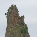 연길인 행정사사무소 이미지