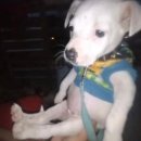 김밥마실공단점 | 허접들 여기까지 오느라 수고했고