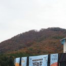 꽃보다프리마켓협동조합 | 충남 보령 축제 가볼만한곳 보령시 농촌 신활력 플러스 사업 성과공유마켓 가치놀장