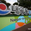 내곡동 주민센터 이미지