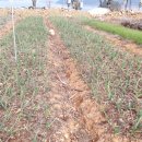 종규농장 이미지