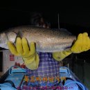 장전낚시터 이미지