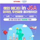 유니홀릭