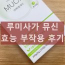 루미사가 뮤신 인어타임 내돈내산 후기 효과 부작용 특징