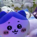 찌꼬뽀꼬 부천로데오점 이미지