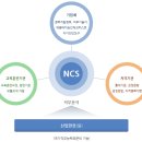 청소년분야 국가직무능력표준(NCS) 분류체계의 문제점 이미지