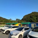 애견동반 밀양테마수영장 이미지