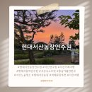 현대농장 | 현대서산농장연수원(아산연수원) 가족 여행 후기｜소나무 숲길과 바비큐, 호텔급 객실까지 완벽!