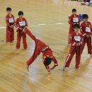 화랑체육관(태권도) Daum카페