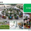 도시농업 치유농업 사회적농업 차이점