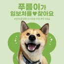푸름/남아/2살 이미지