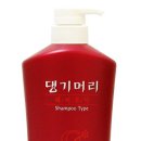 댕기머리2 이미지