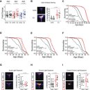 Ring neurons in the Drosophila central complex act as a rheostat for ,,,, 이미지