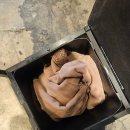 신용산역 | [용산]신용산역 고기집 육몽 , 평일 점심 후기