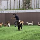 한국서비스문화학회 이미지