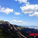 수국에 둘러싸인 '여인의 향기' - 오늘의 포토소식 이미지