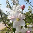 푸른계곡 이미지