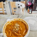 응급실국물떡볶이광주 - 광산구 장신로50번길 11 | 광주 응급실떡볶이 크림카레떡볶이 간단 후기