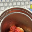 매봉제일마트 | 25년도 12월의 2/2