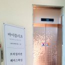 바이플리.B