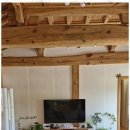 스테이 연 이미지