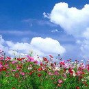 눈부신날엔