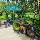 놀부네 촌캉스 이미지