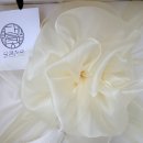 달콩정원 이미지
