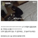 바리바리스타