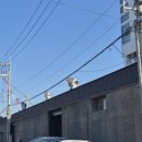 12/9 크리스마스 테라리움 | 영도 영블루페스타 - 뚜벅이가는법 주차 만원쿠폰받기