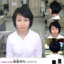 중앙동242 이미지