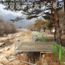 청천화양동관광농원  초롱이 캠핑장 이미지