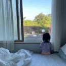 모아민박 이미지