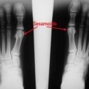 풀잎한의원 이미지