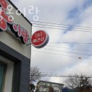 멍이랑옹이랑 네이버블로그