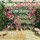 횡성온천 | 가볼 만한 곳 국내 최대 규모 찜질방 신세계 온천 스파랜드 후기(주차꿀팁, 식사메뉴, 할인, 준비물품)