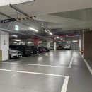 트윈독스 이미지