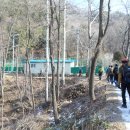 태백고원 700 산소길 이미지