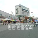 금산인삼만물