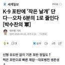 K-9 포탄에 작은 날개 단다...오차 6분의 1로 줄인다 이미지