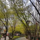 상연사 | [山行] 도립공원, 수리산 등산
