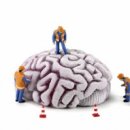 내곡동301 이미지