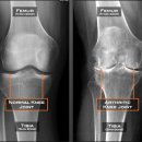 J2M SPORTS 이미지