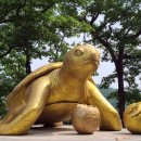 황금행정사사무소 이미지